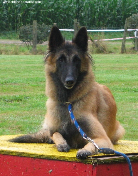 Sandy de la Croix Aux Chevaux